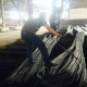 Perusahaan Besi Beton di Surabaya